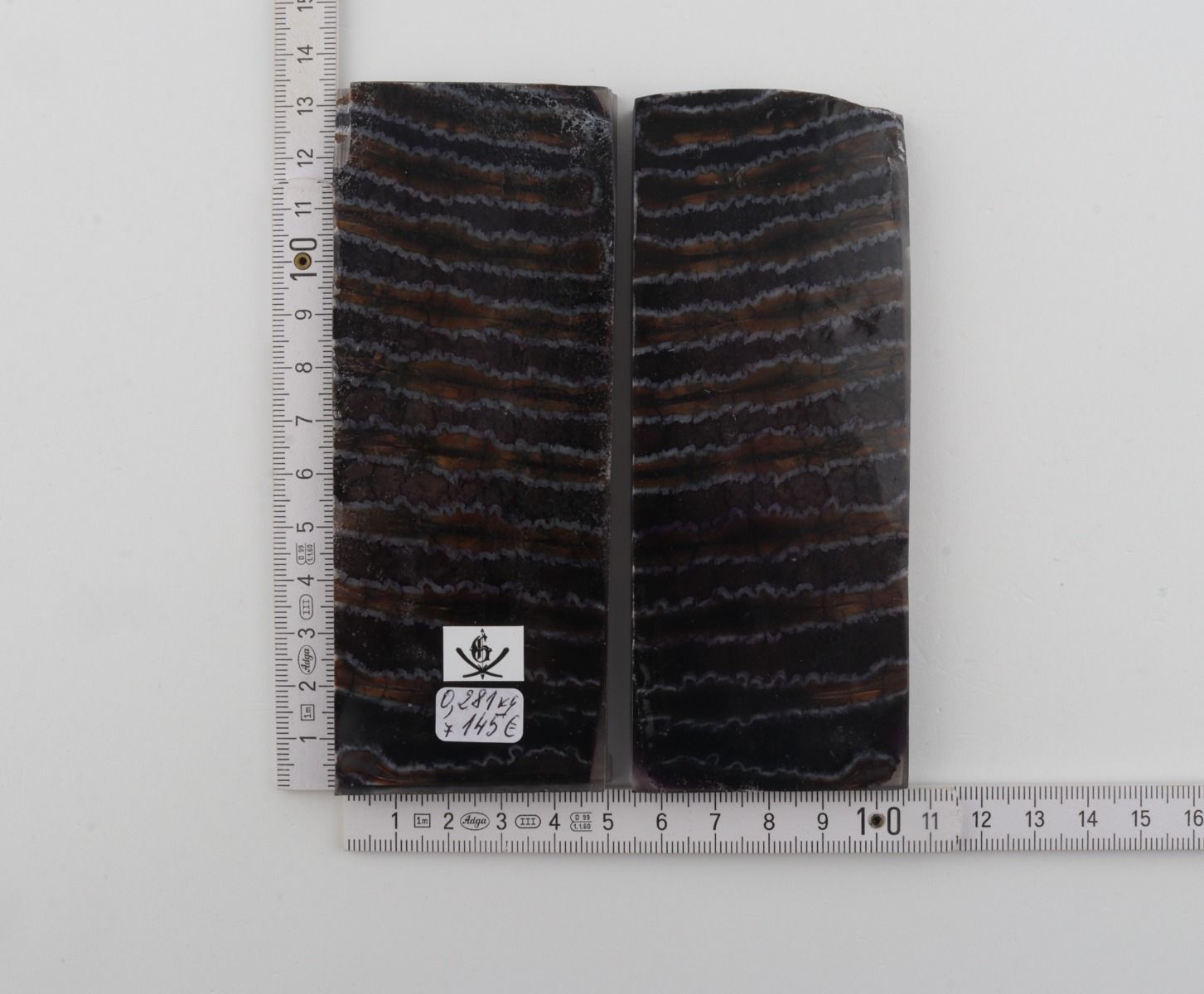 Stabilised mammoth molar scales