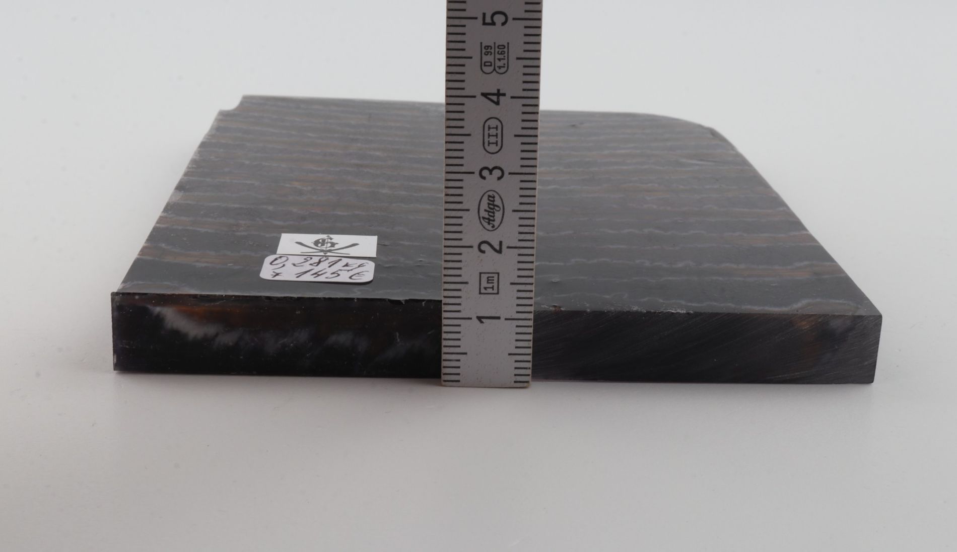 Stabilised mammoth molar scales