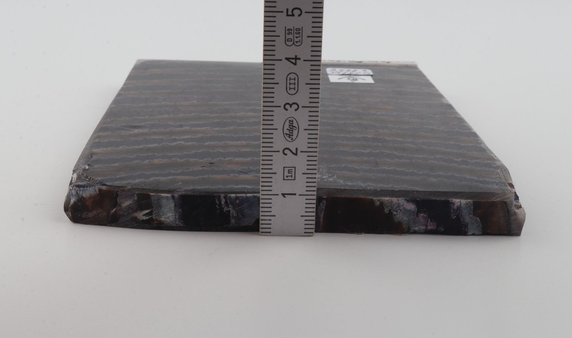 Stabilised mammoth molar scales