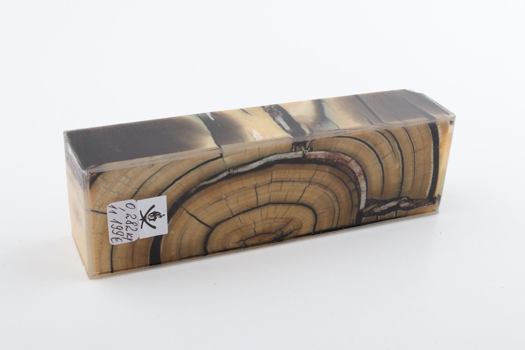 Stabilised mammoth ivory block