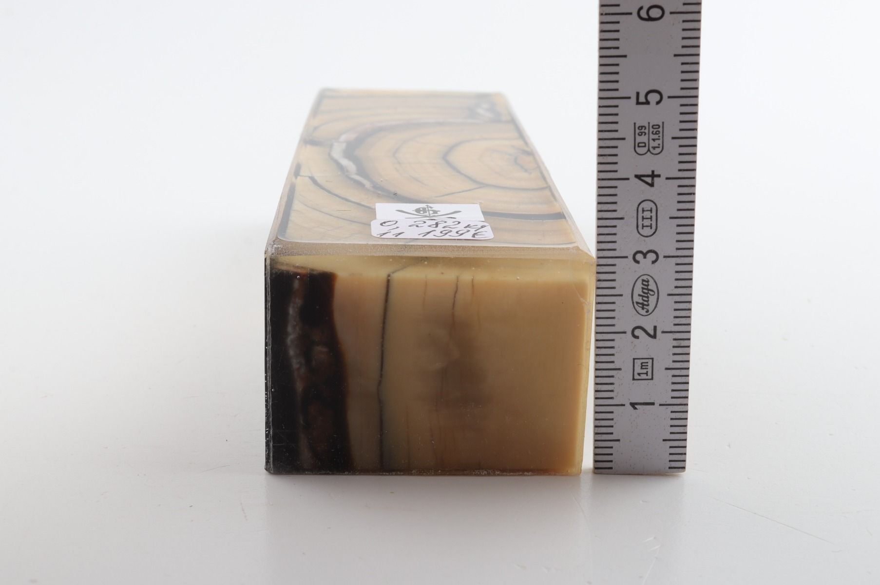 Stabilised mammoth ivory block