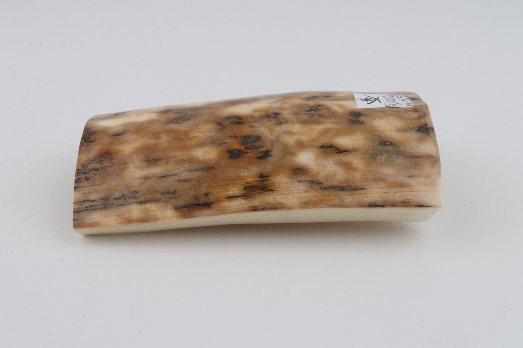 Beige-creme mammoth bark