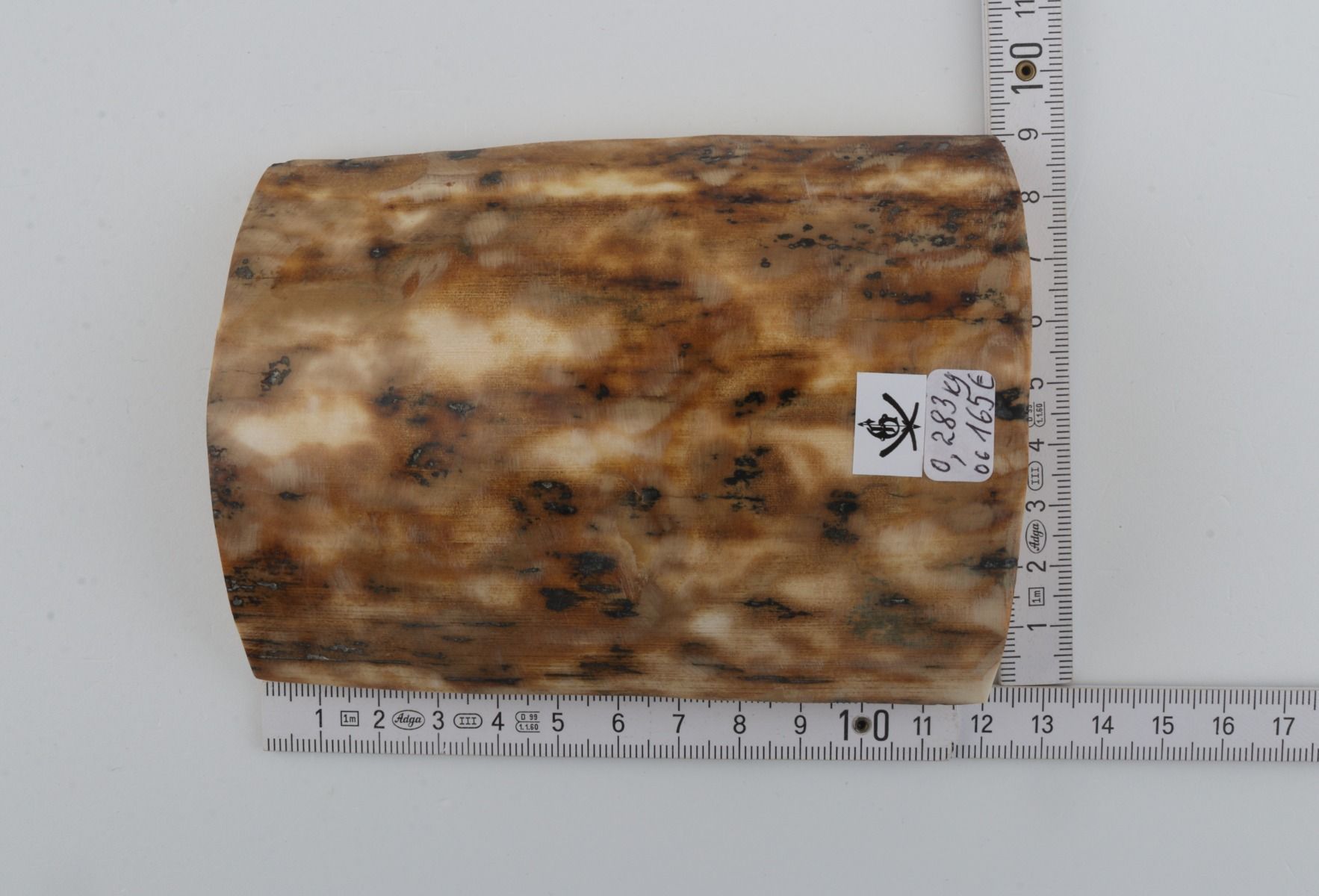 Beige-creme mammoth bark