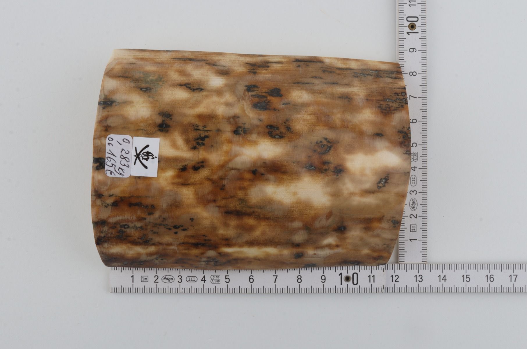 Beige-creme mammoth bark