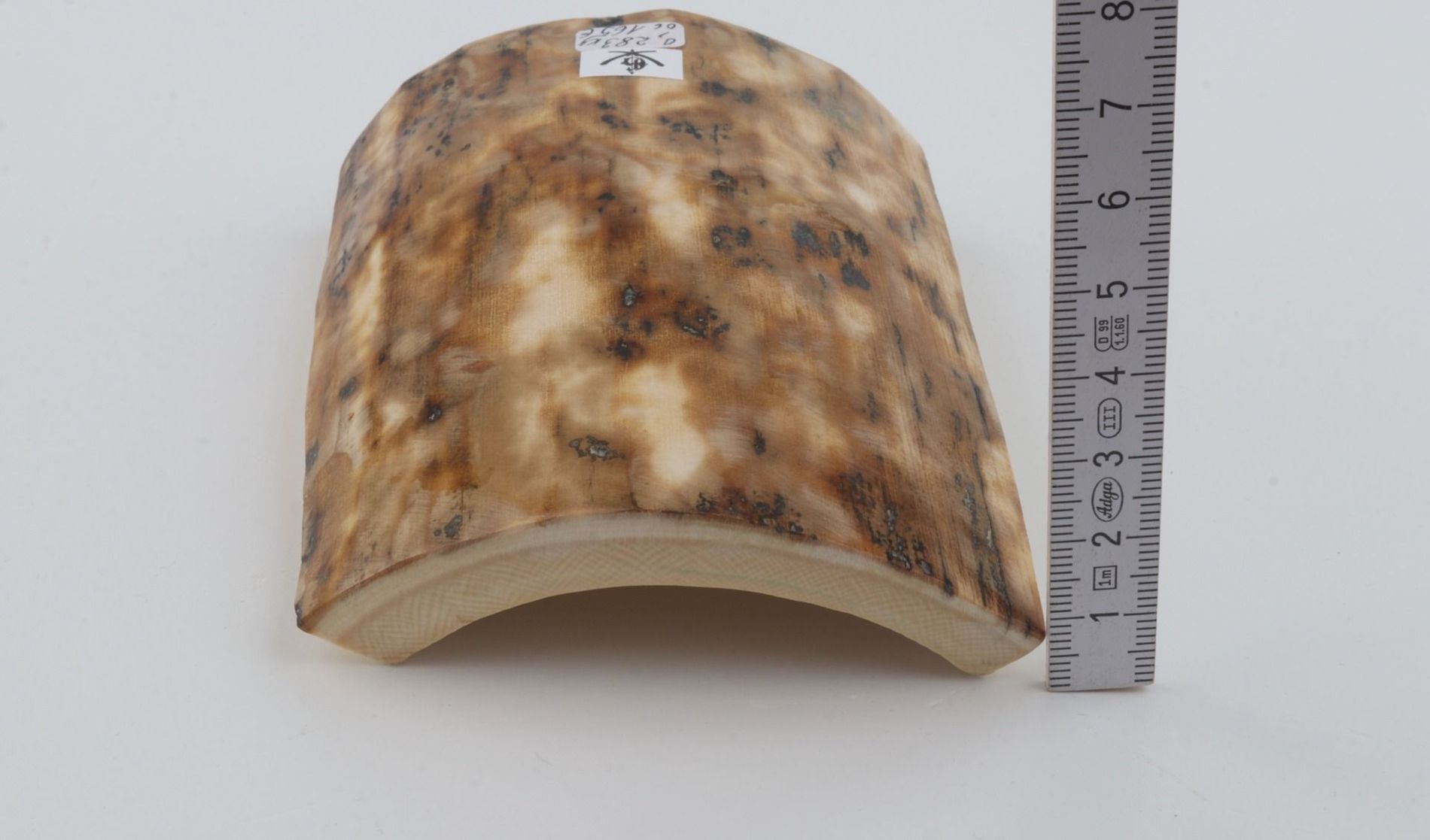 Beige-creme mammoth bark