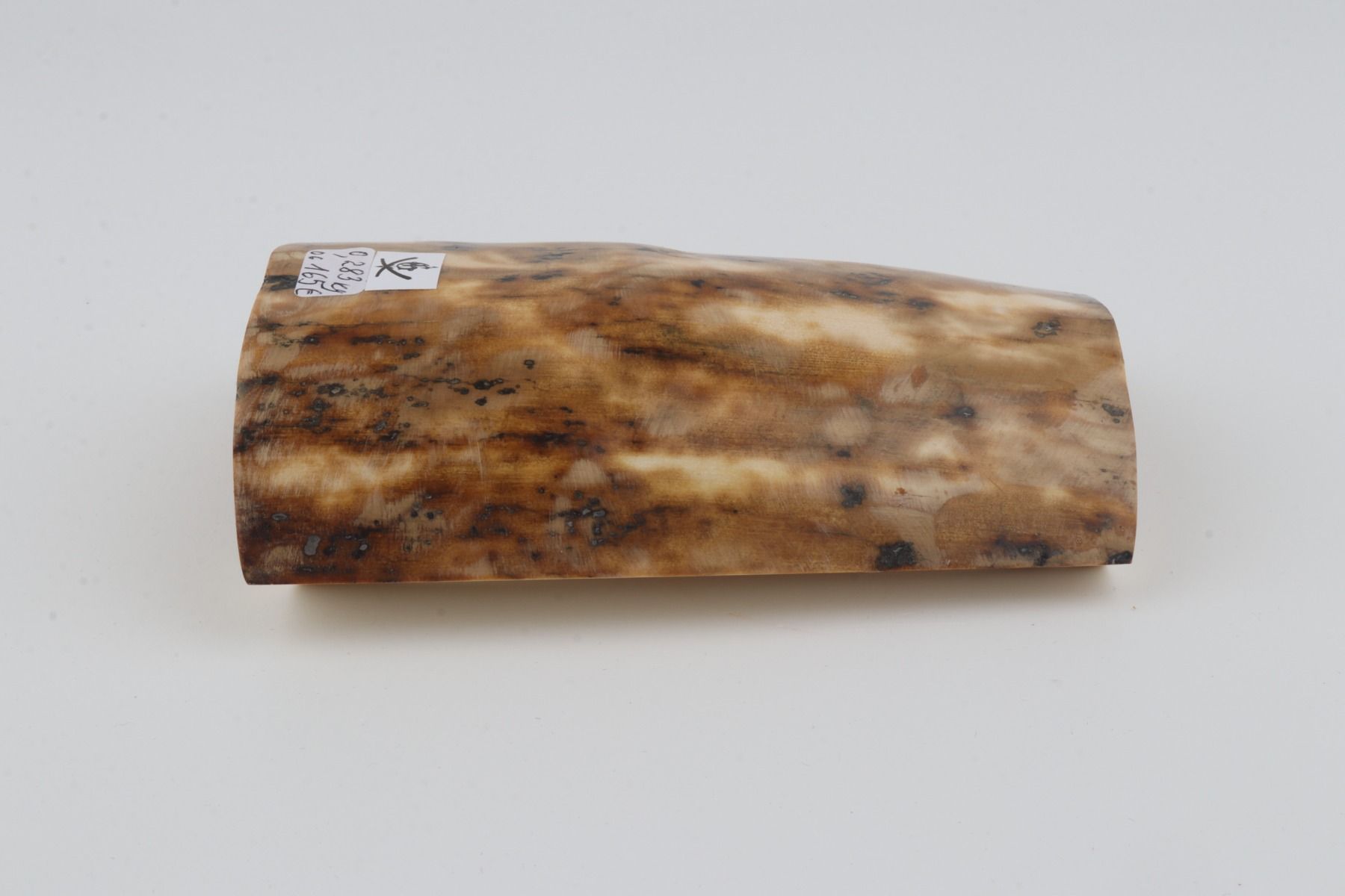 Beige-creme mammoth bark