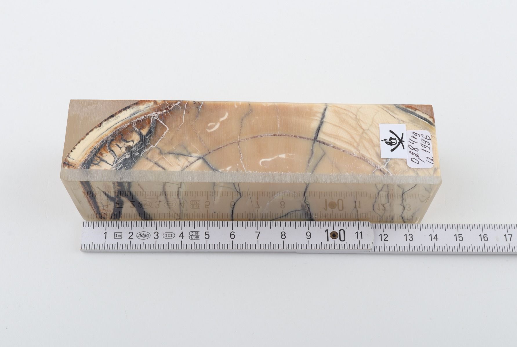Stabilized mammoth ivory block