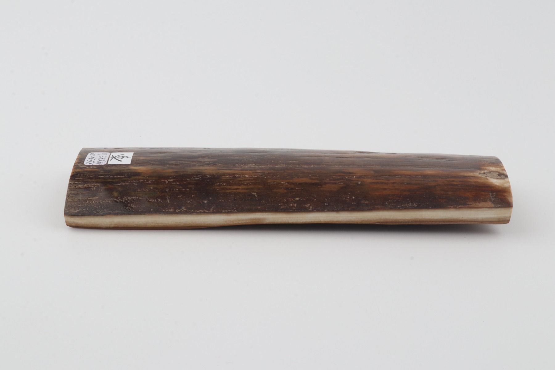 Brown mammoth bark