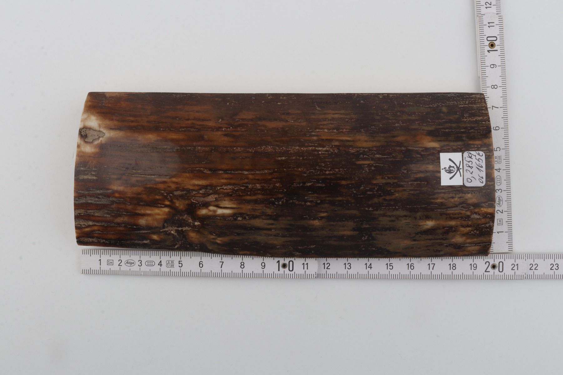 Brown mammoth bark