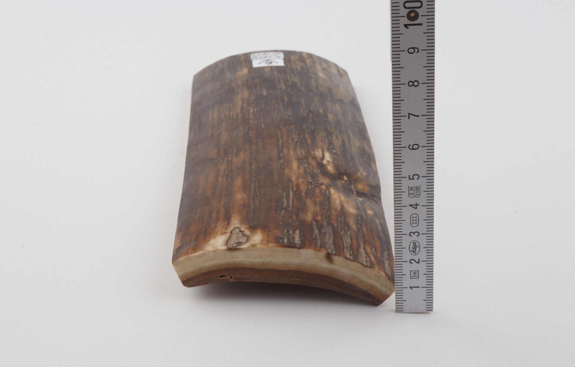 Brown mammoth bark