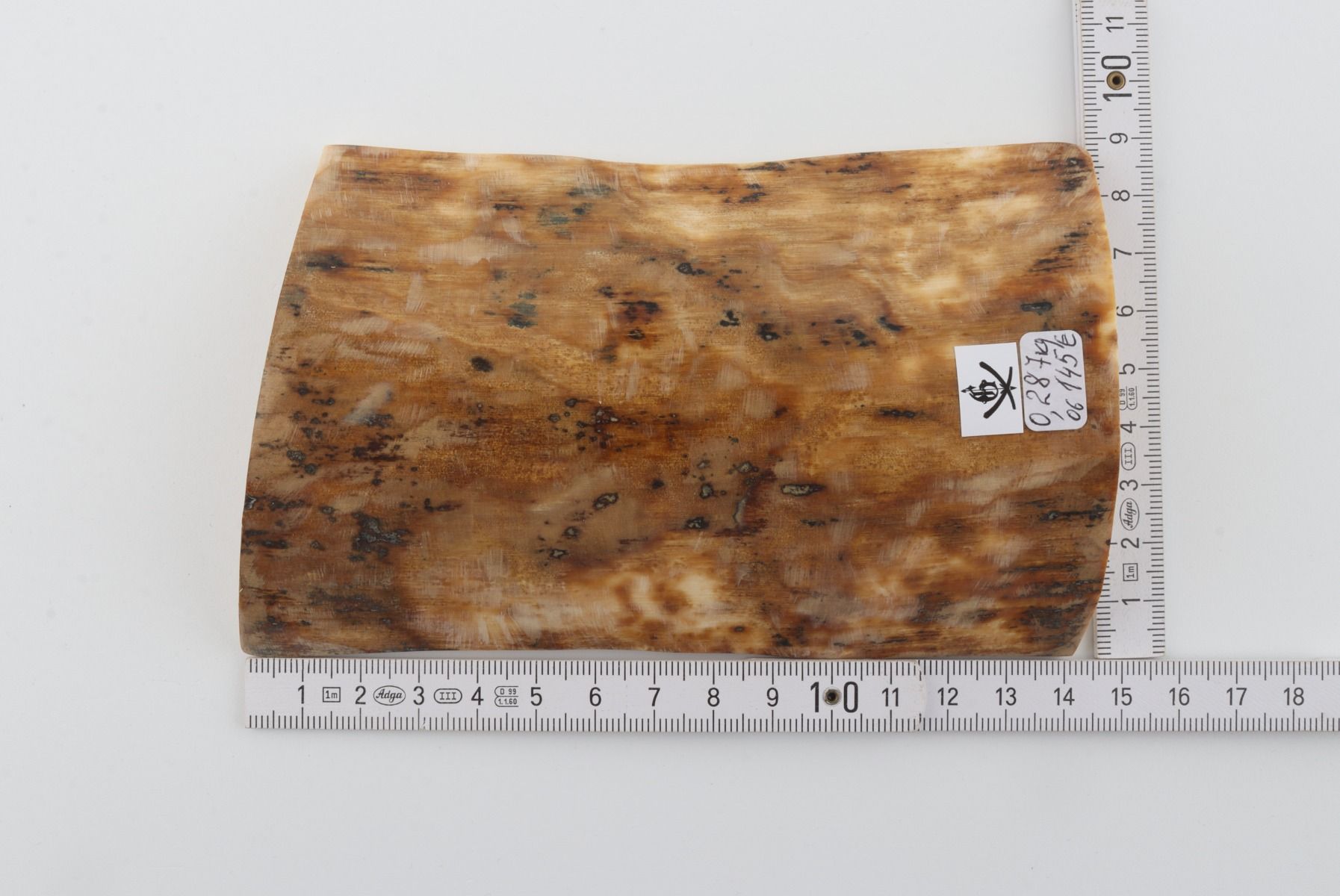 Brown-beige mammoth bark