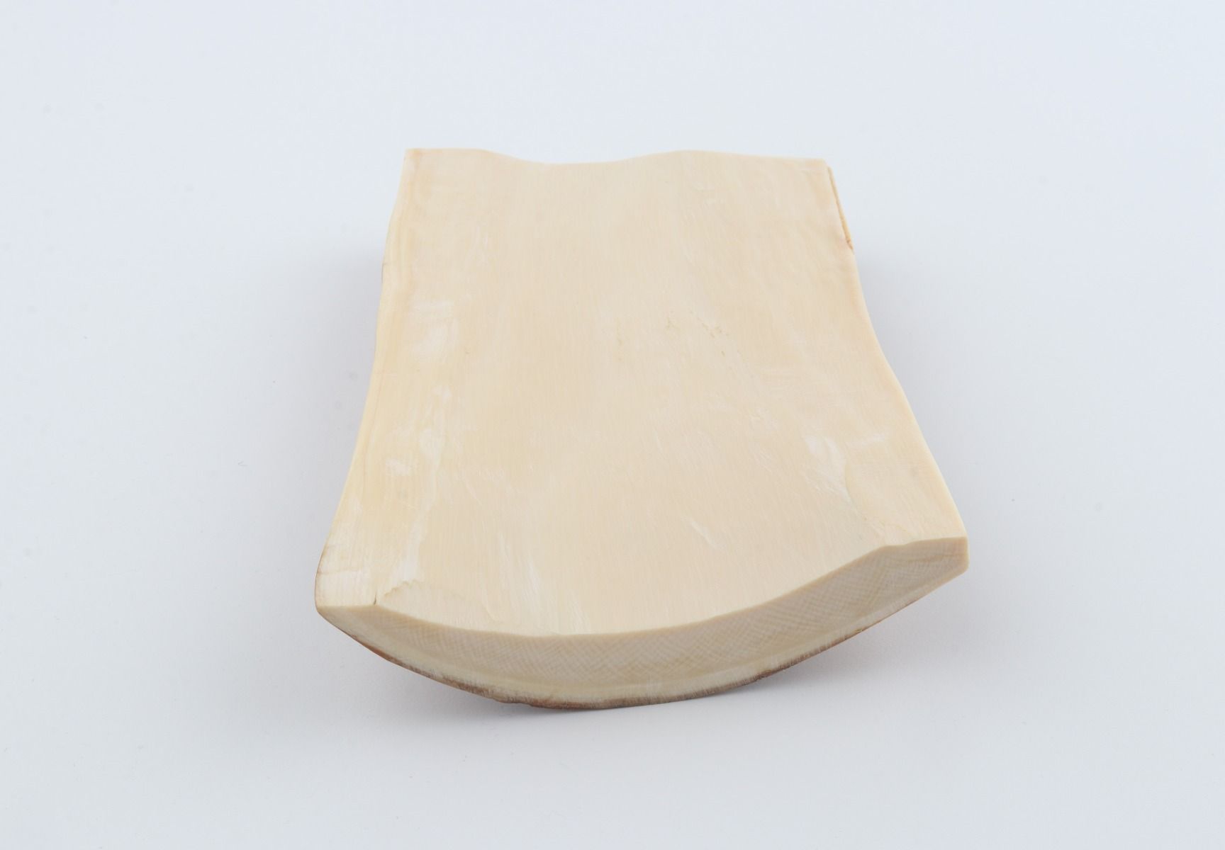 Brown-beige mammoth bark