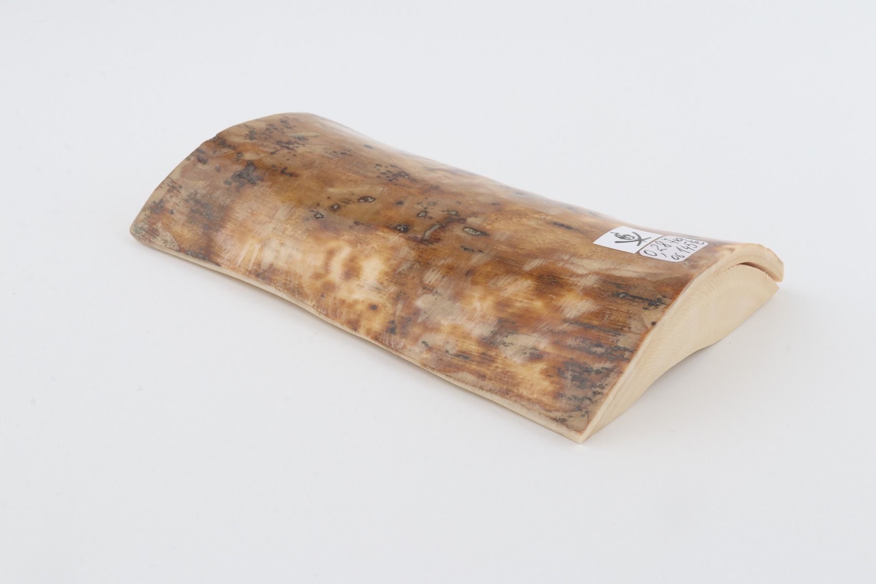 Brown-beige mammoth bark