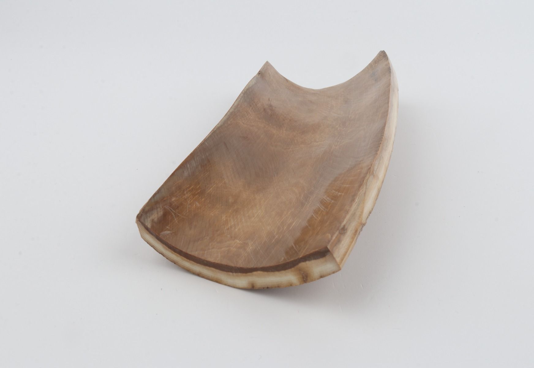 Beige mammoth bark