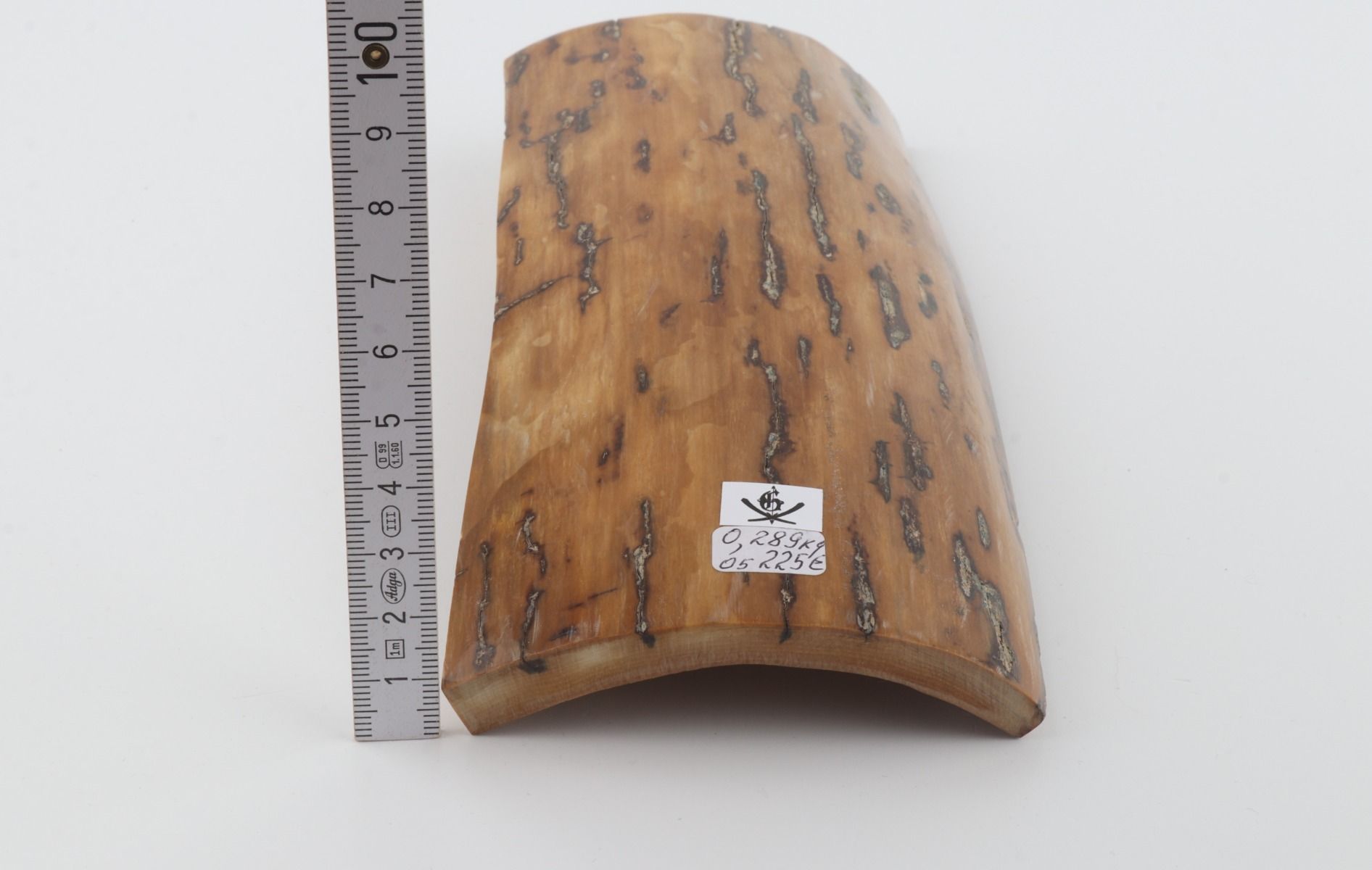 Beige mammoth bark