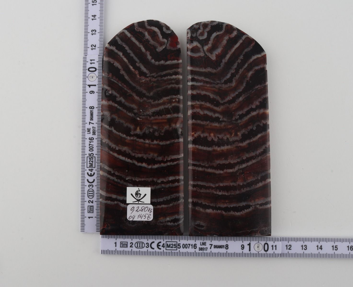 Stabilised mammoth molar scales