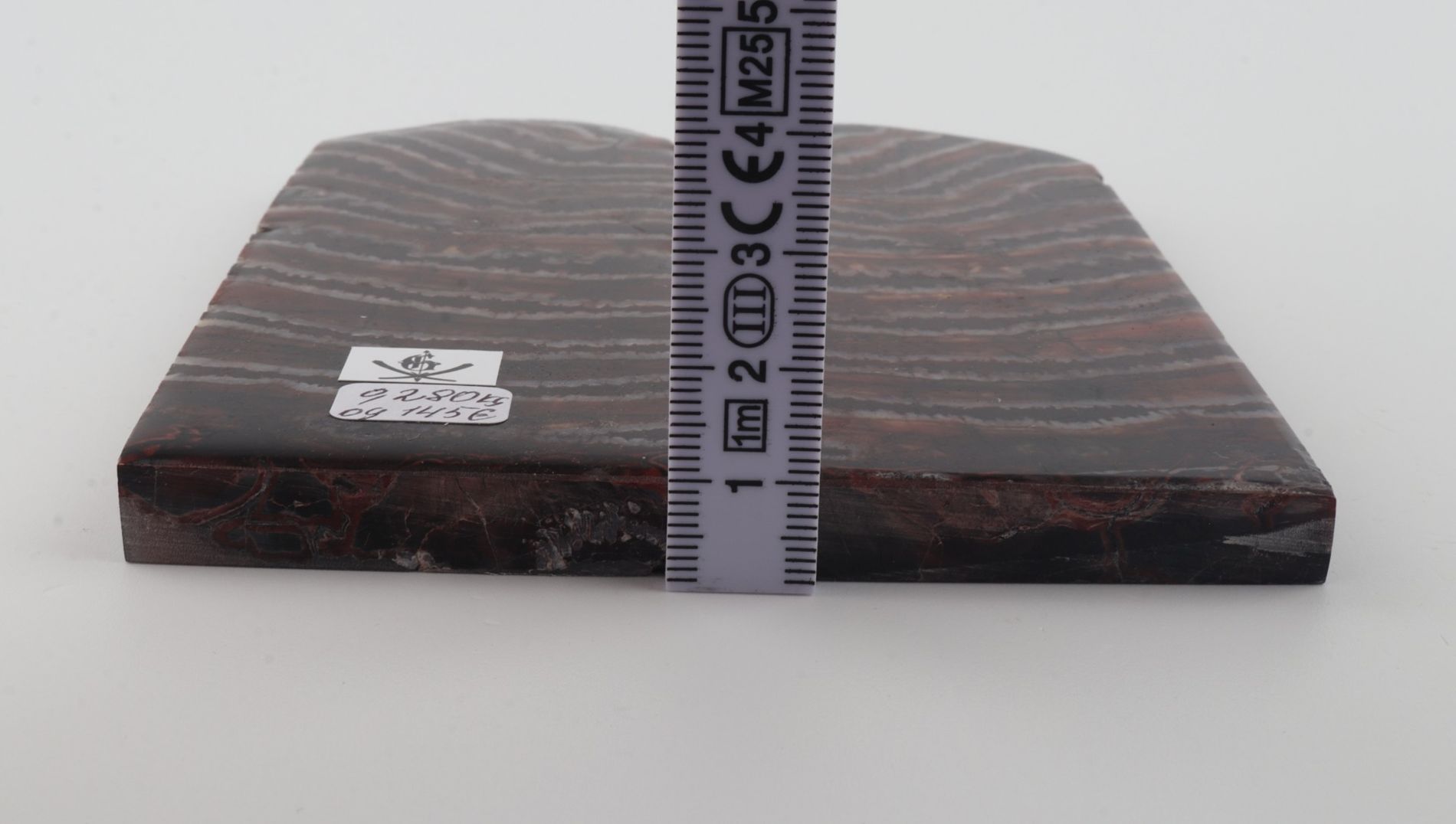 Stabilised mammoth molar scales