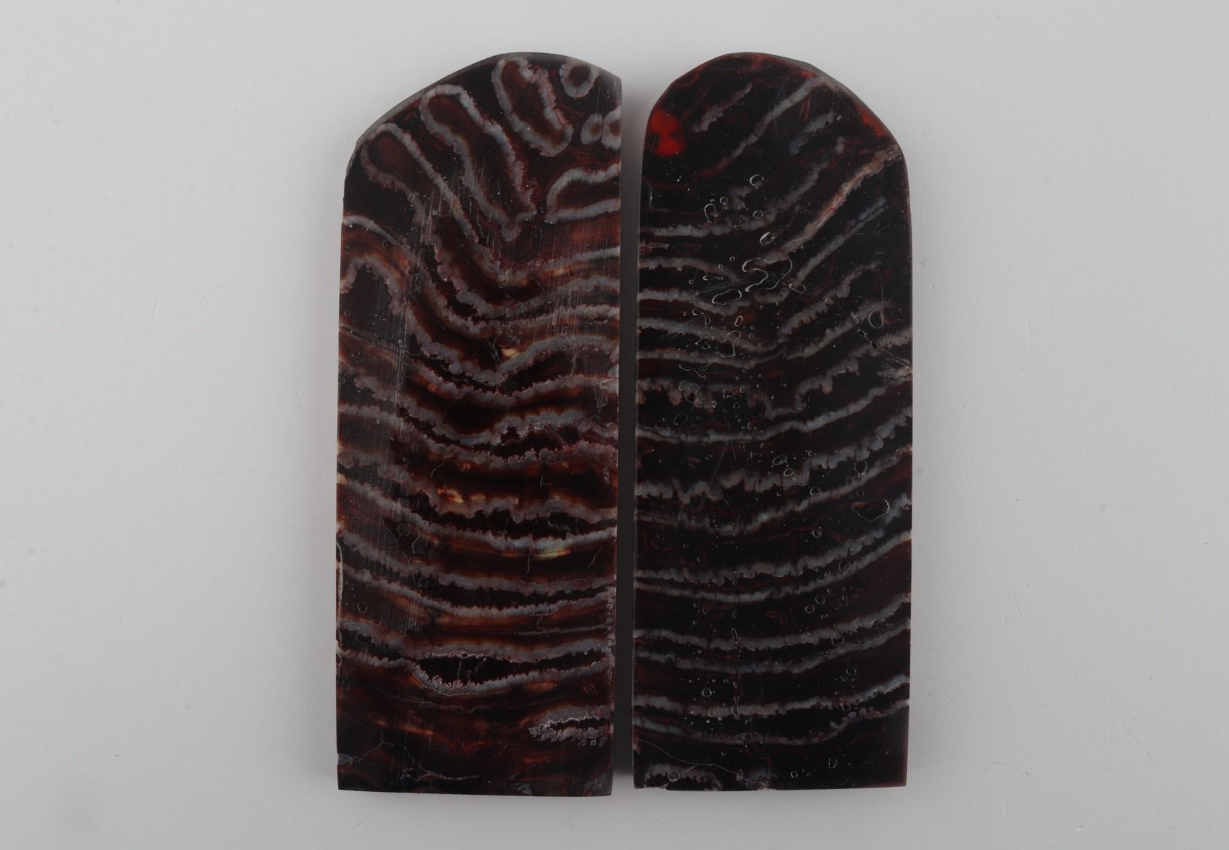 Stabilised mammoth molar scales