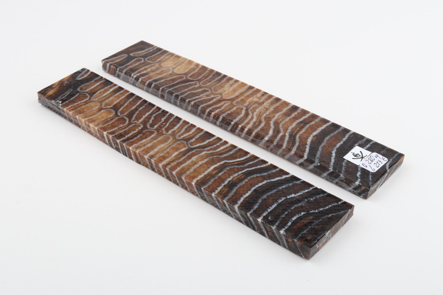 Stabilised mammoth molar scales