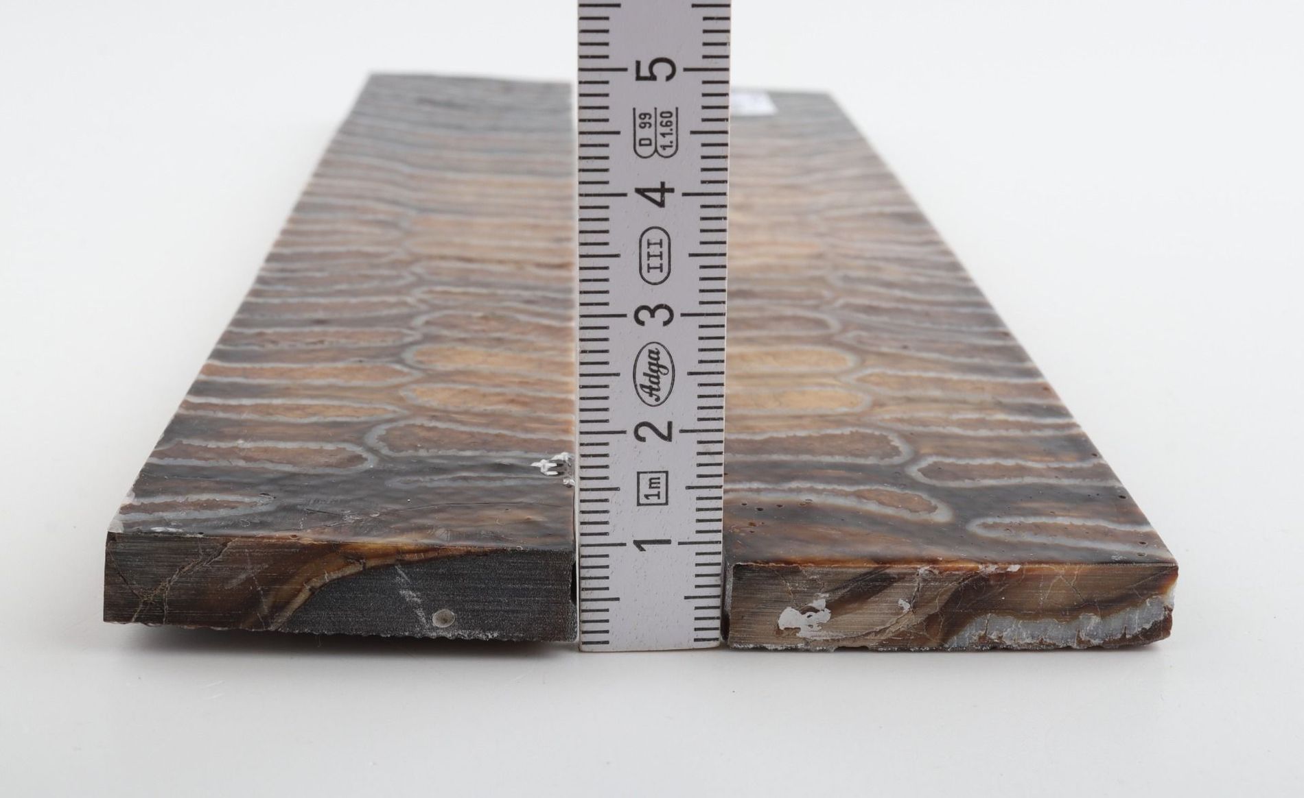 Stabilised mammoth molar scales