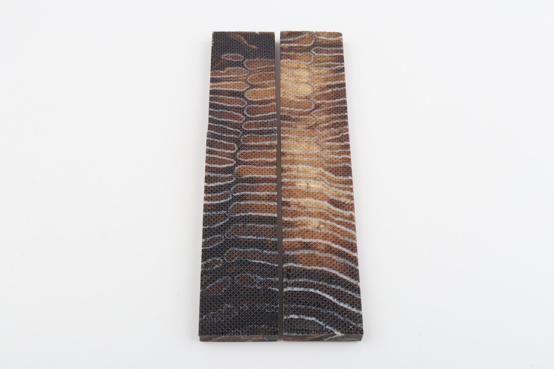 Stabilised mammoth molar scales