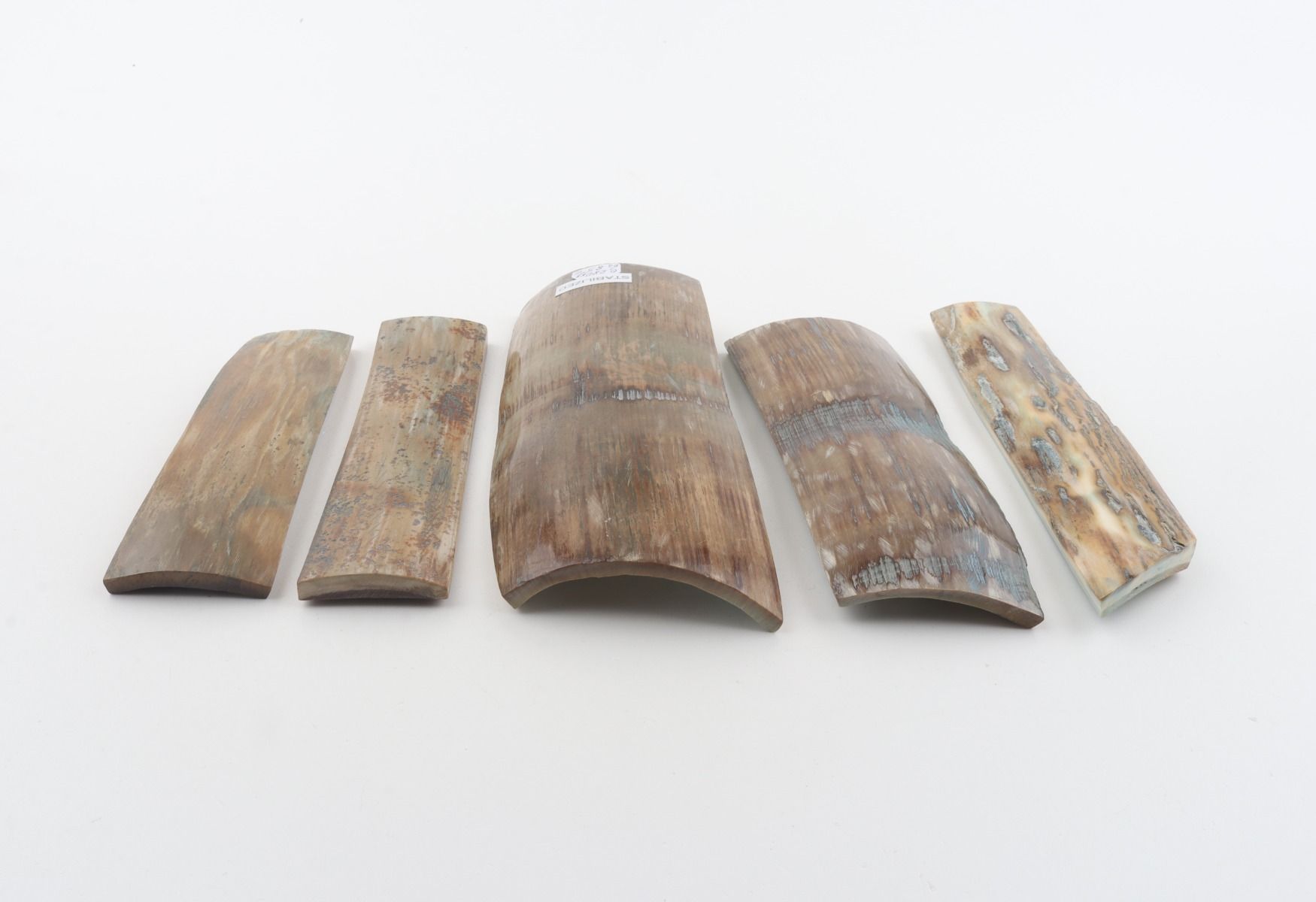 Stabilised mammoth bark pieces