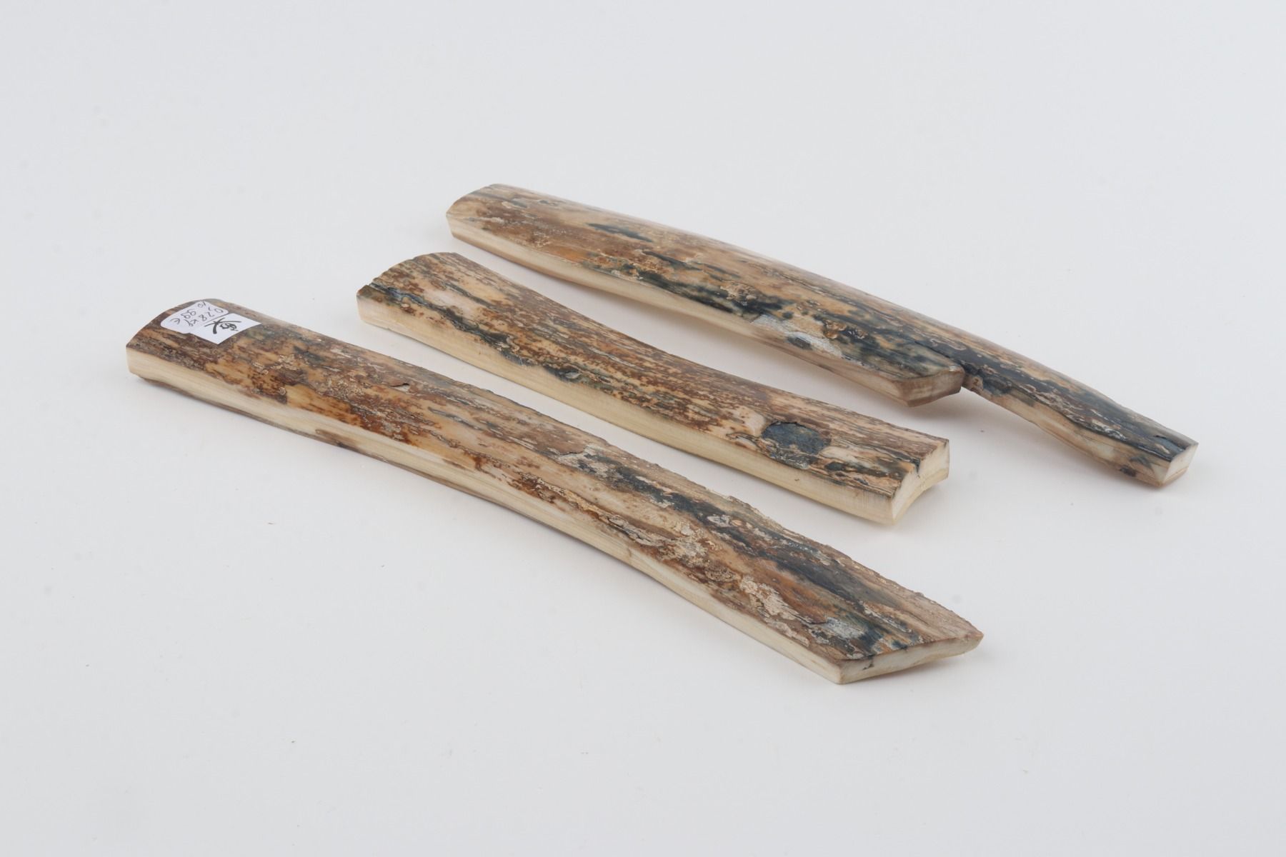 Beige mammoth bark pieces
