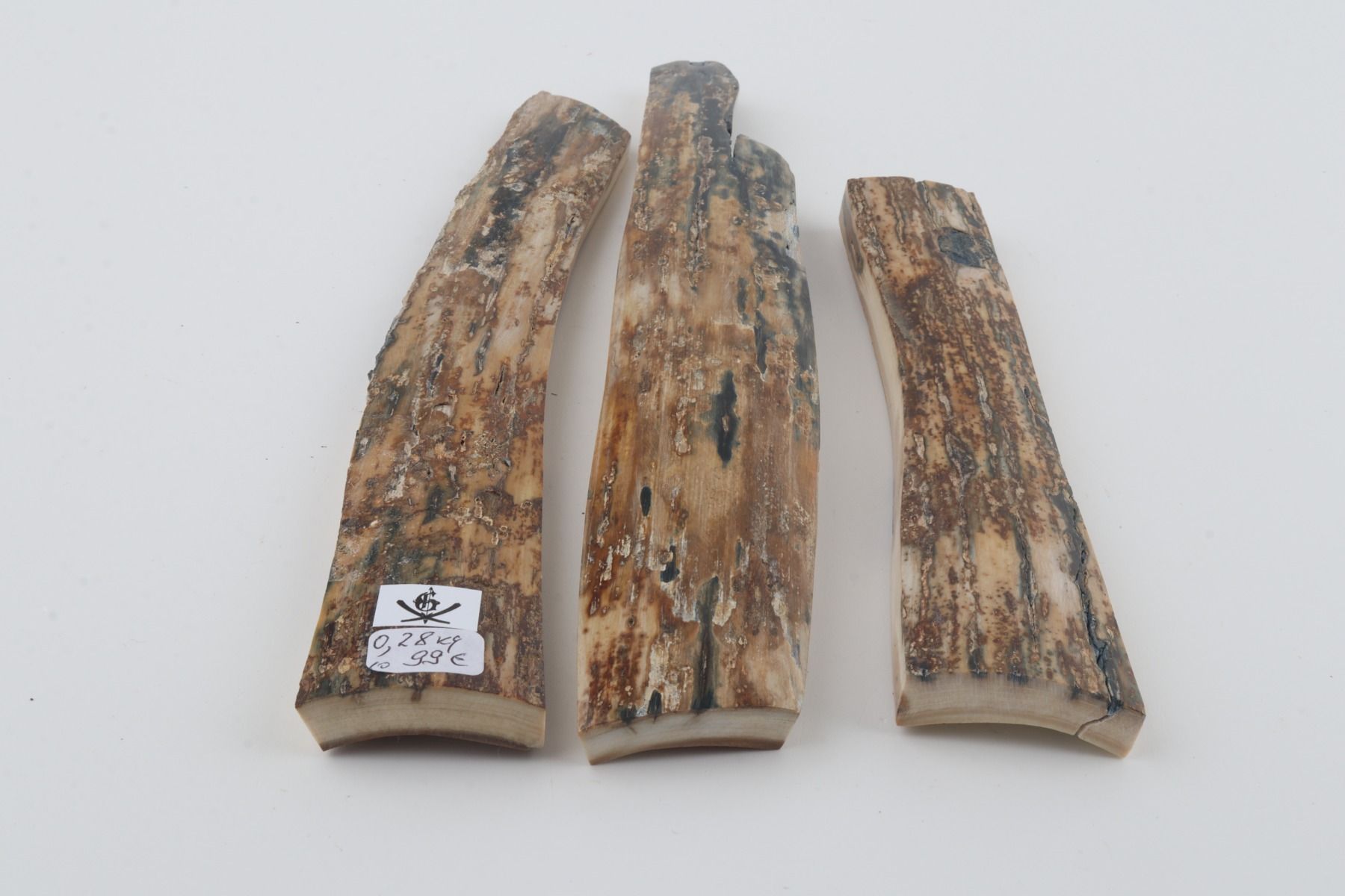Beige mammoth bark pieces
