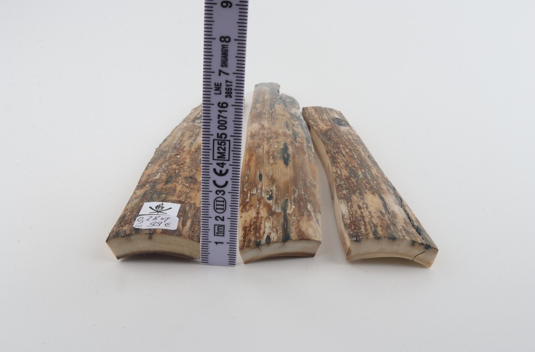 Beige mammoth bark pieces