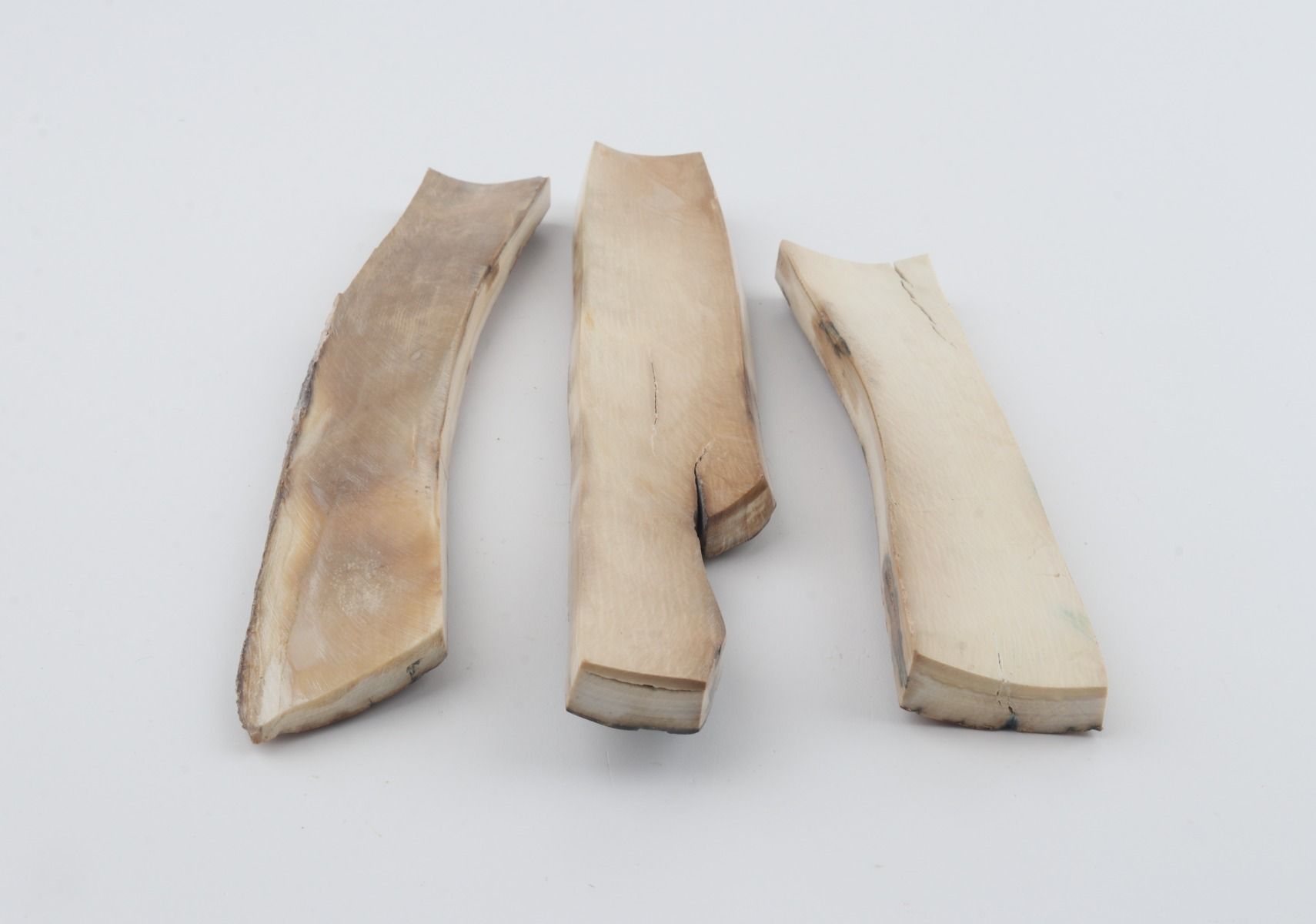 Beige mammoth bark pieces