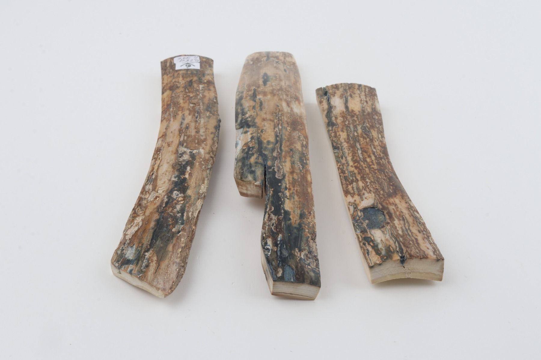 Beige mammoth bark pieces