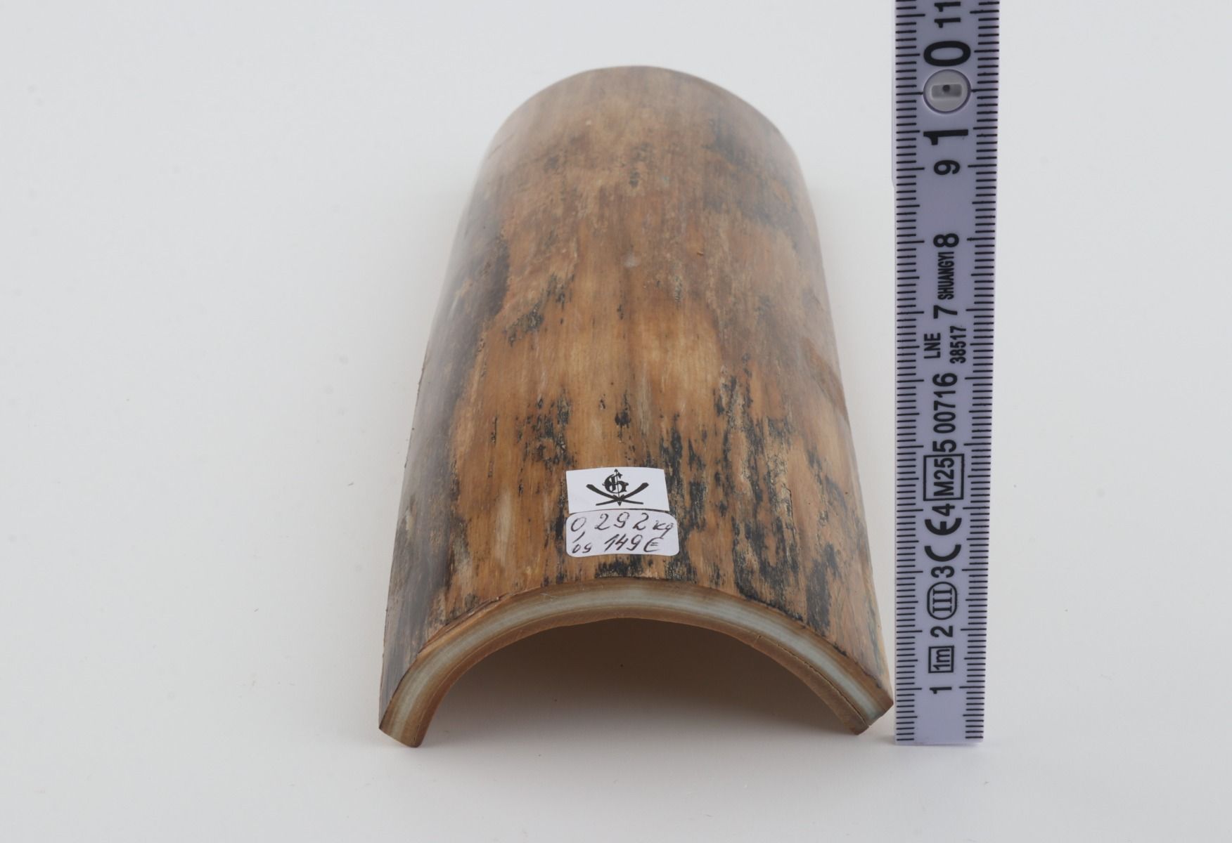 Beige mammoth bark