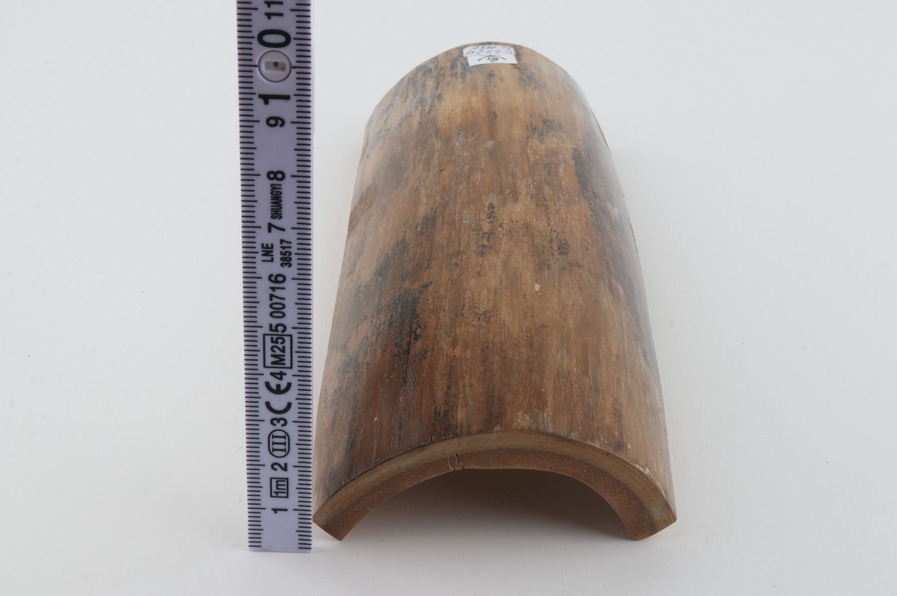 Beige mammoth bark