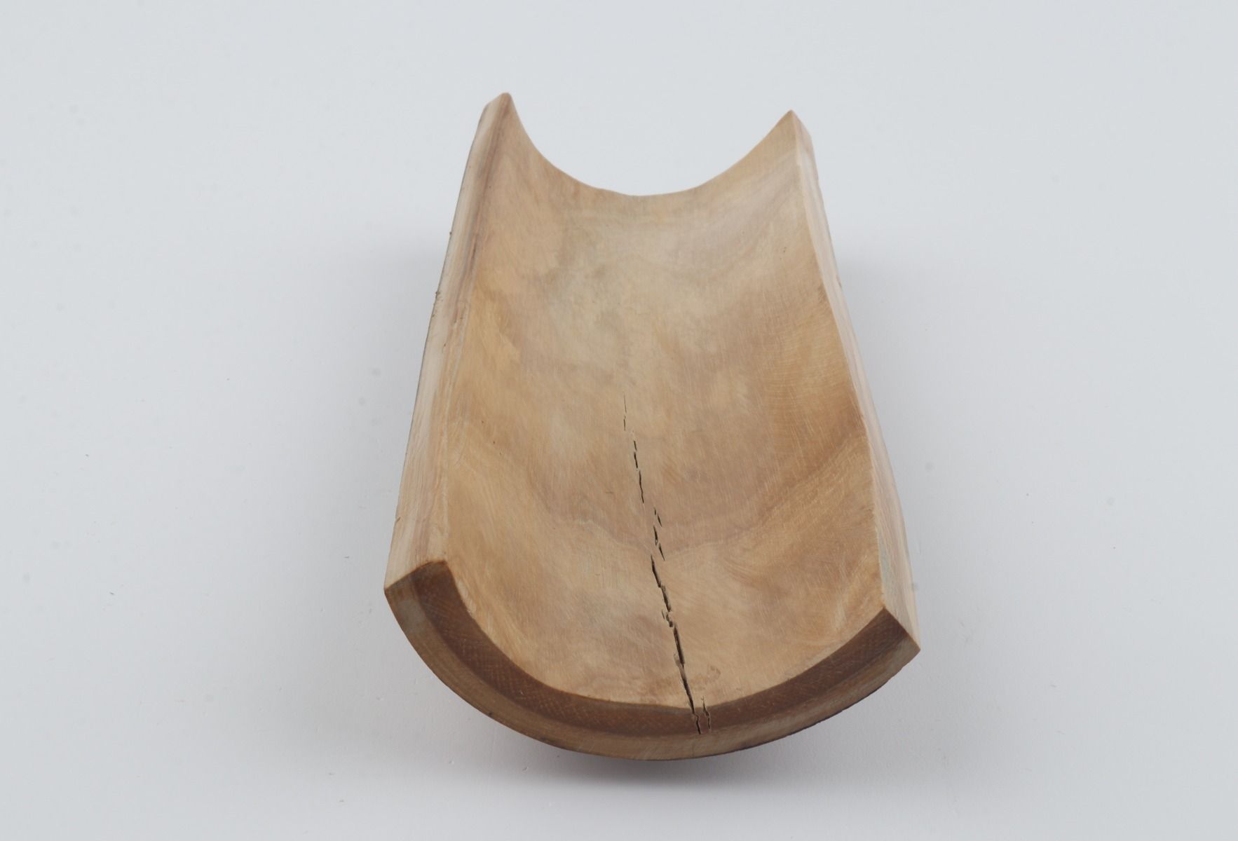 Beige mammoth bark