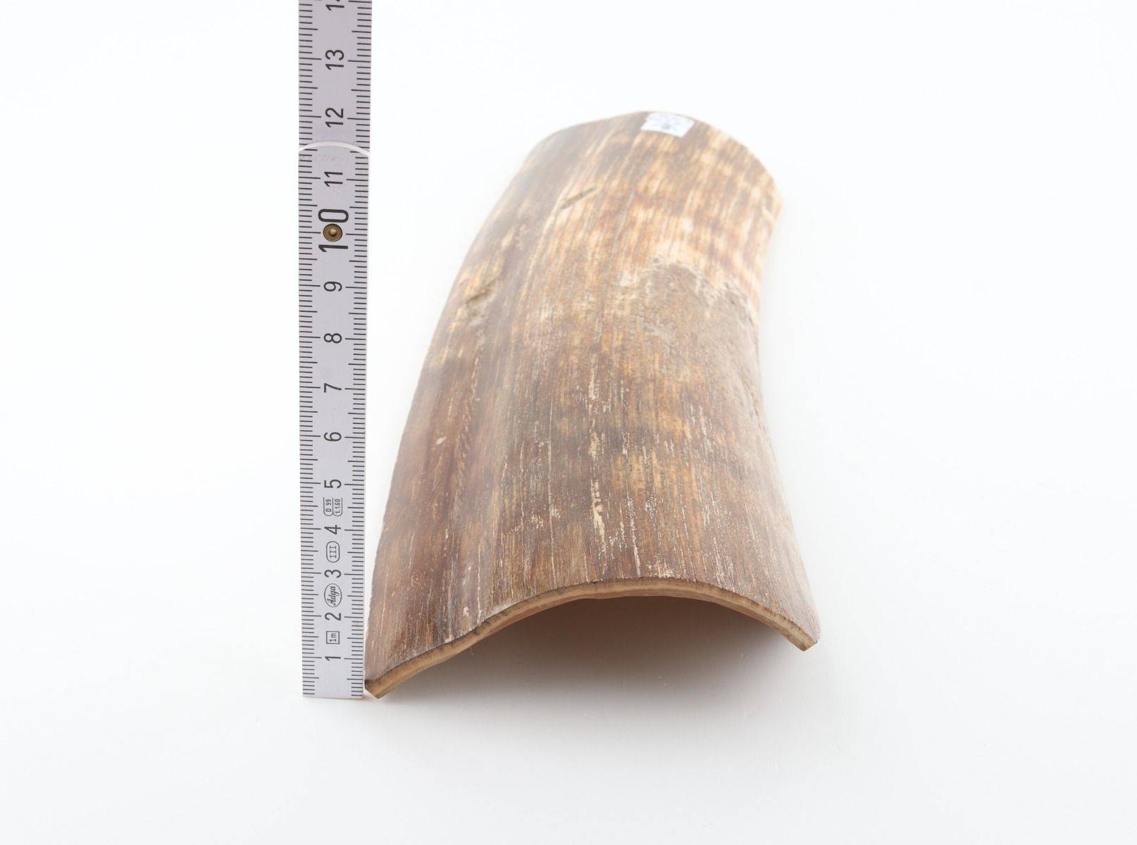Brown-orange mammoth bark