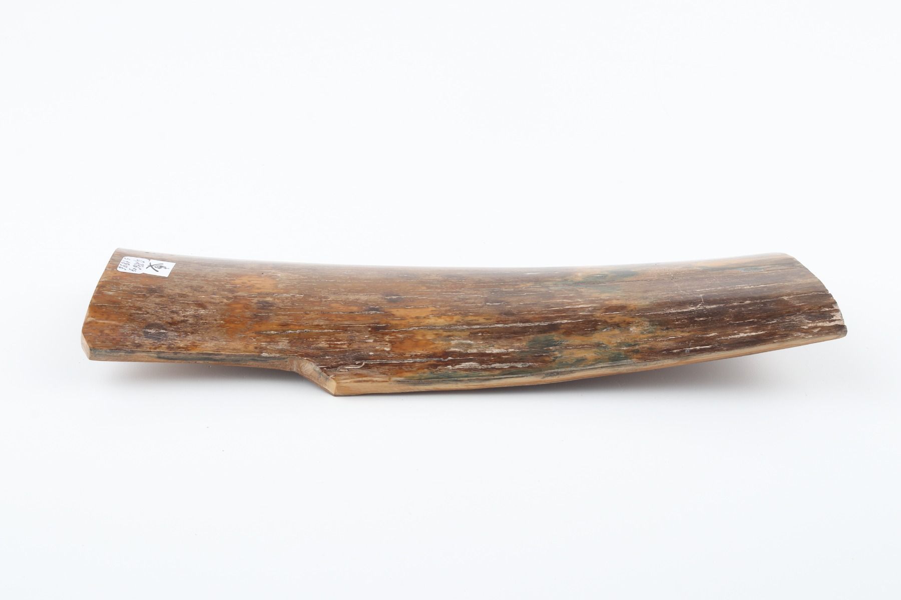 Natural mammoth bark