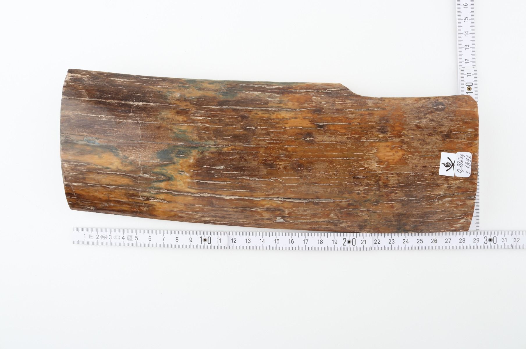 Natural mammoth bark