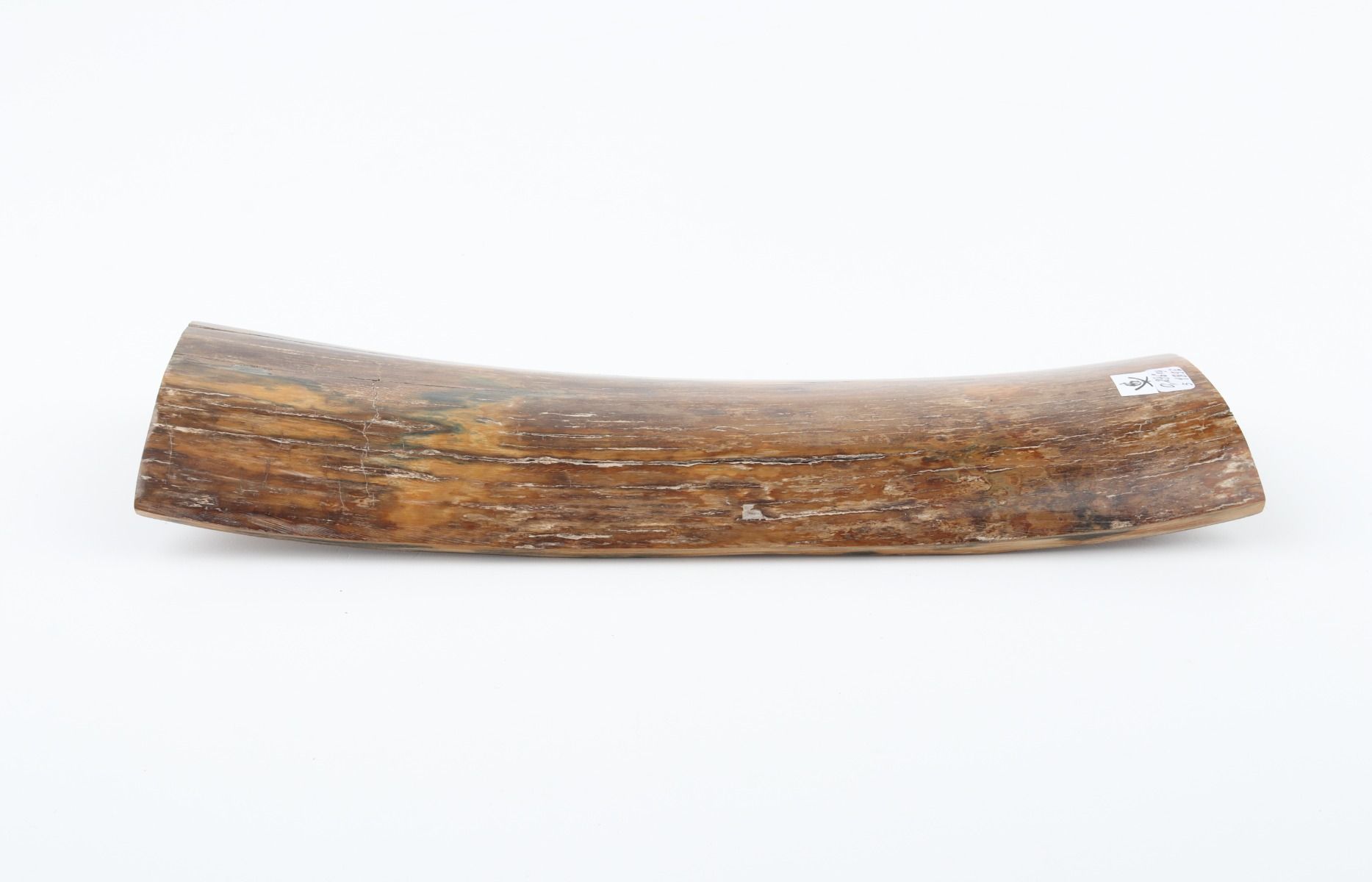 Natural mammoth bark