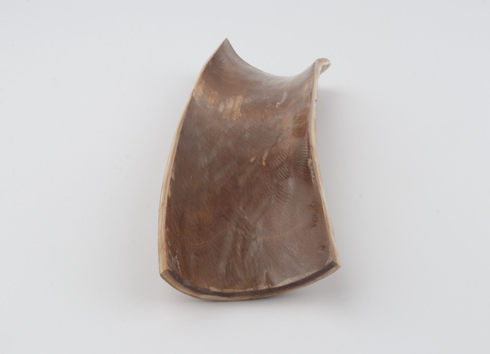 Beige-brown mammoth bark
