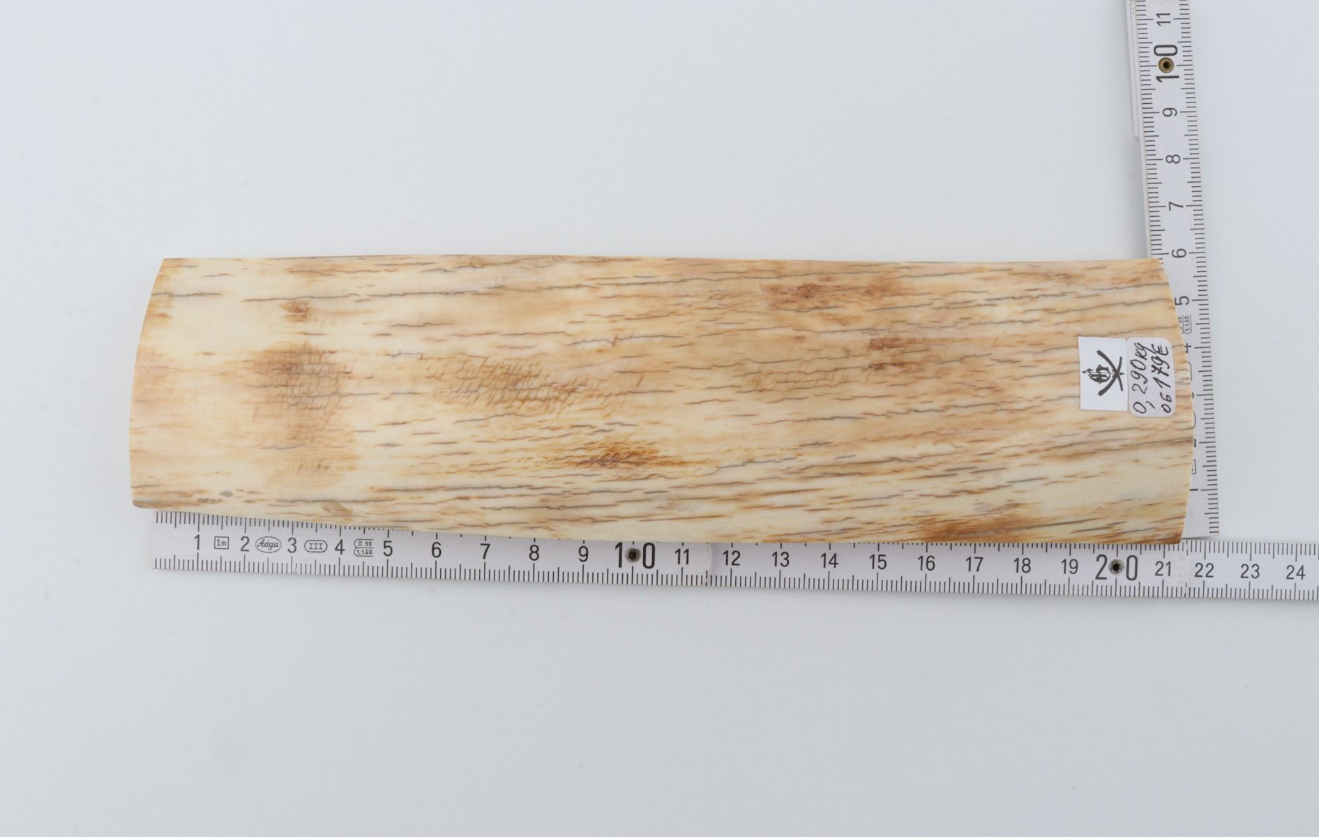 Natural mammoth ivory piece