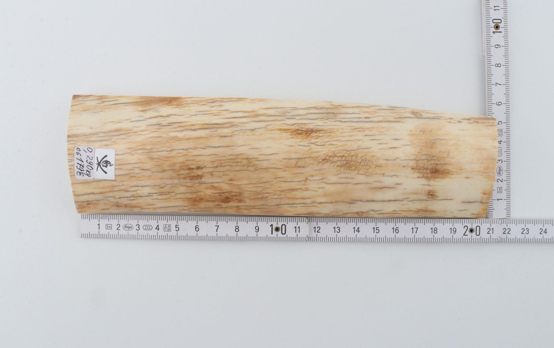 Natural mammoth ivory piece