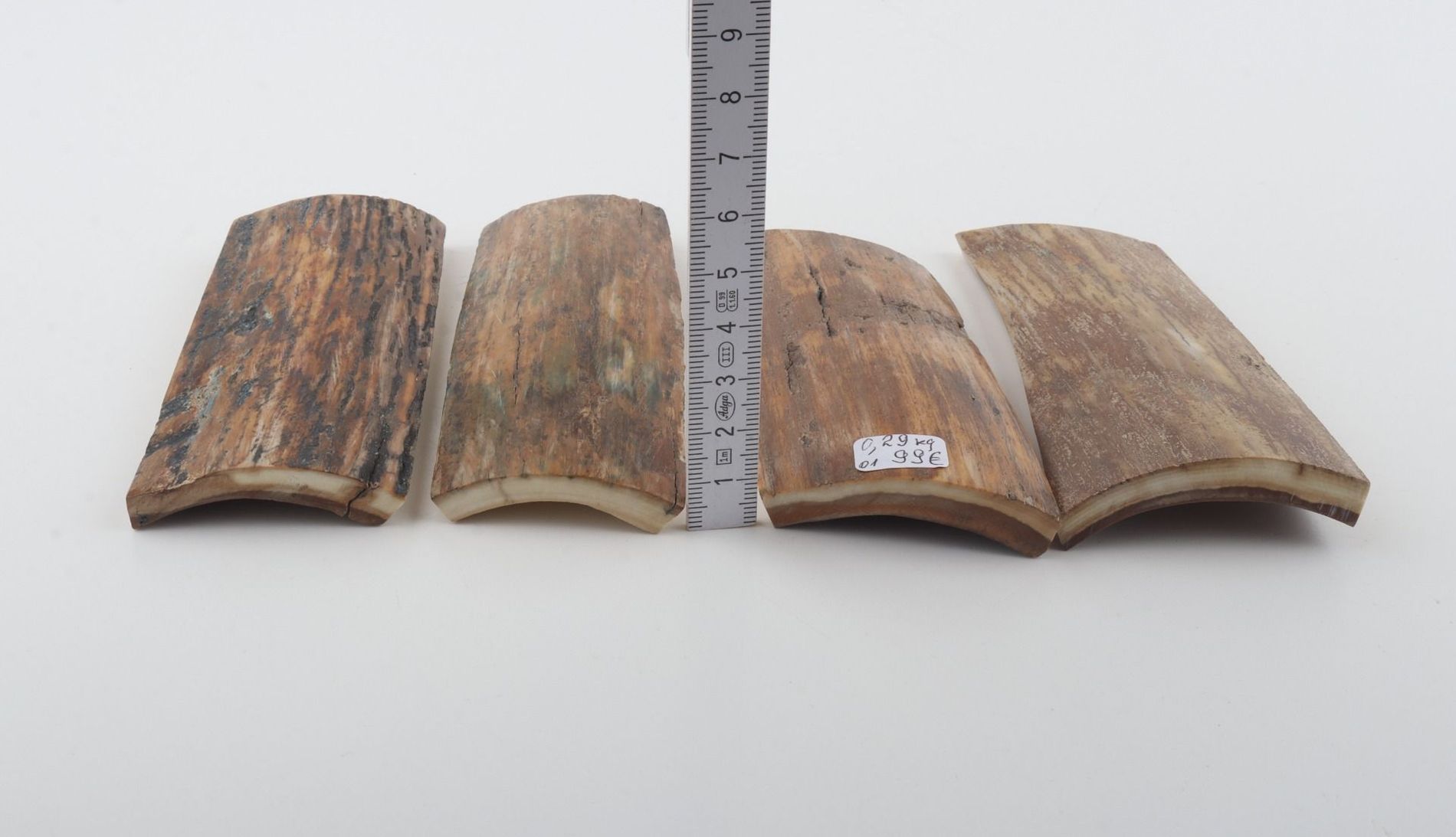 Natural mammoth bark pieces