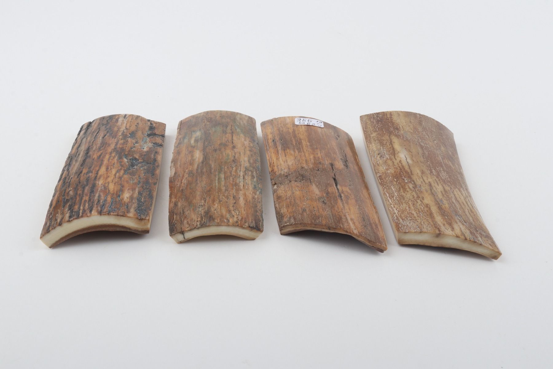Natural mammoth bark pieces