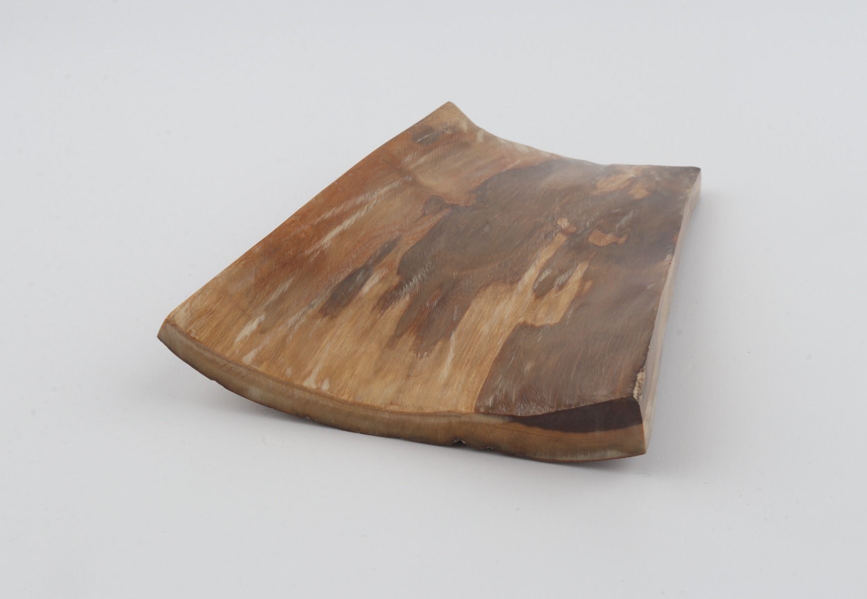 Brown mammoth bark