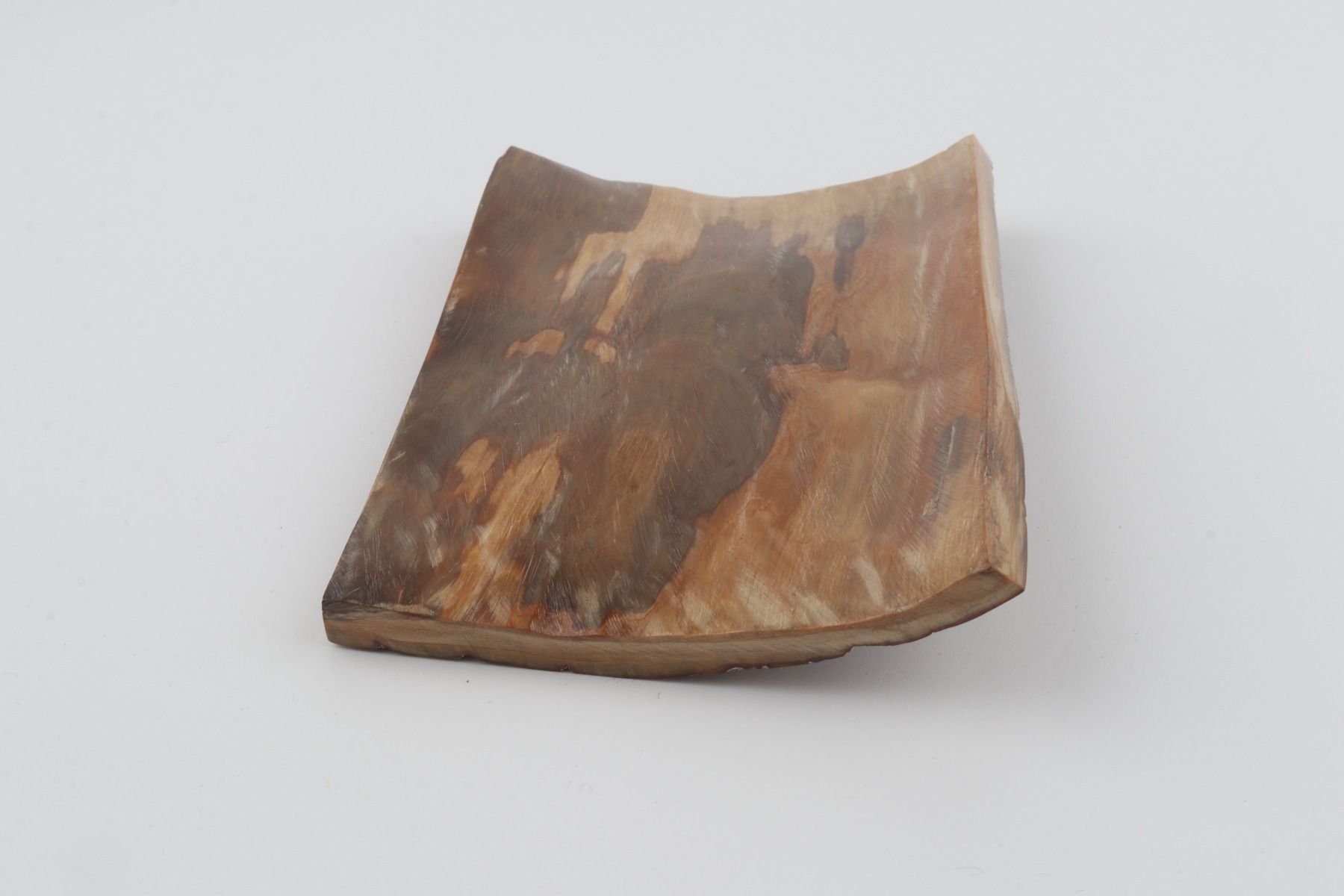 Brown mammoth bark