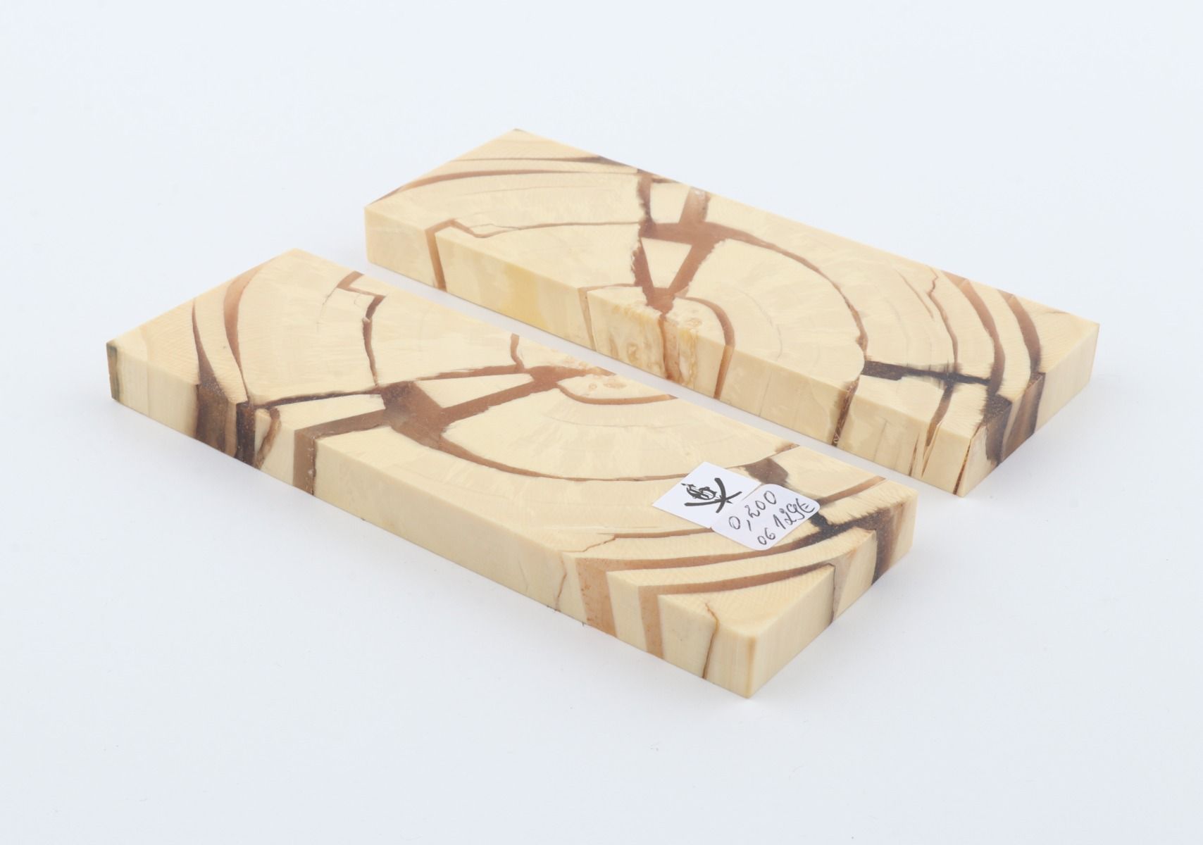 Stabilised mammoth ivory scales