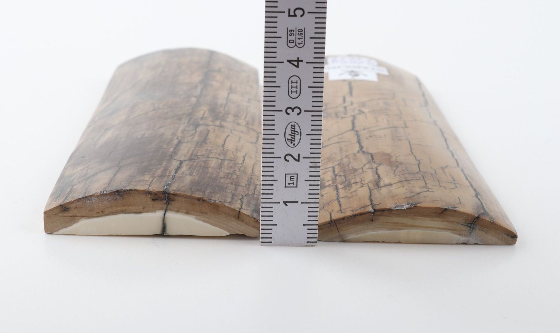 Stabilised mammoth bark scales