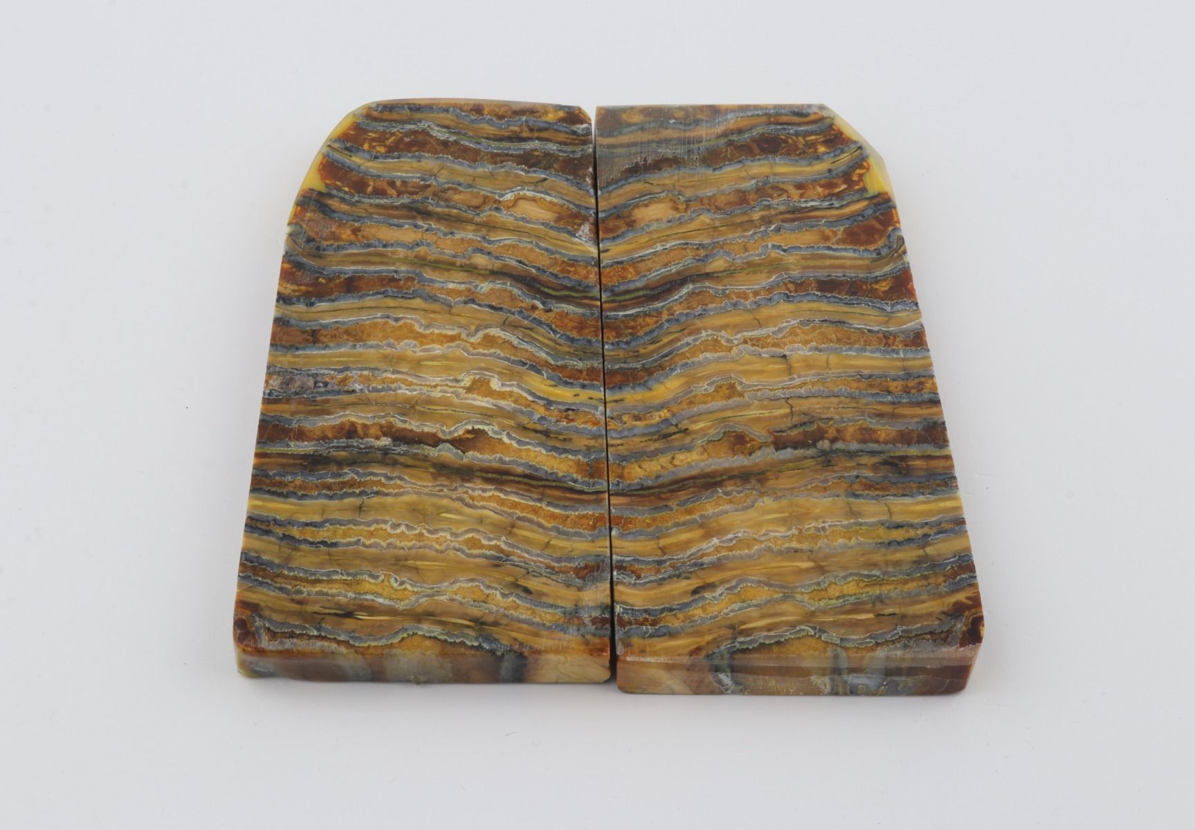 Stabilised mammoth ivory scales