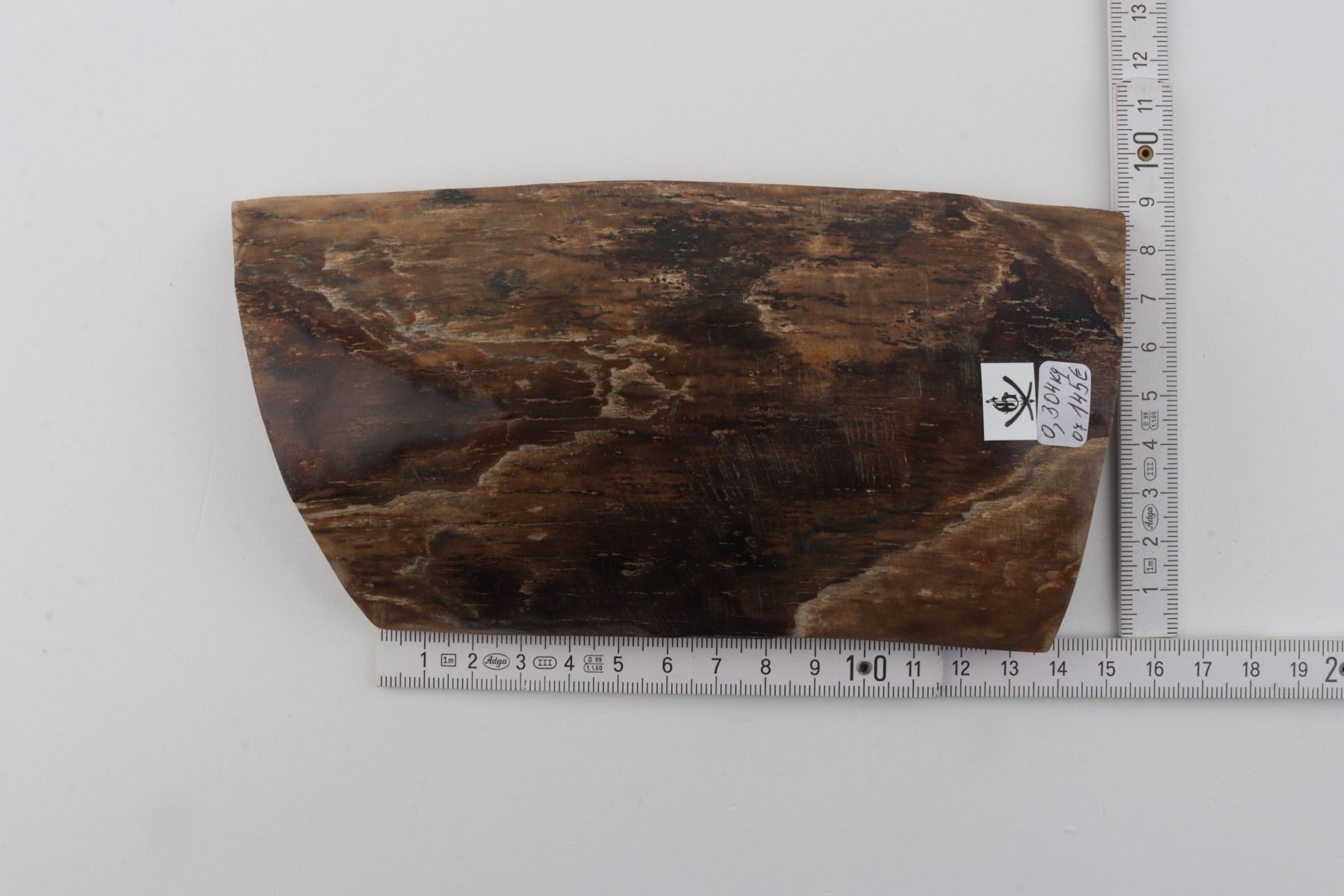 Brown mammoth bark