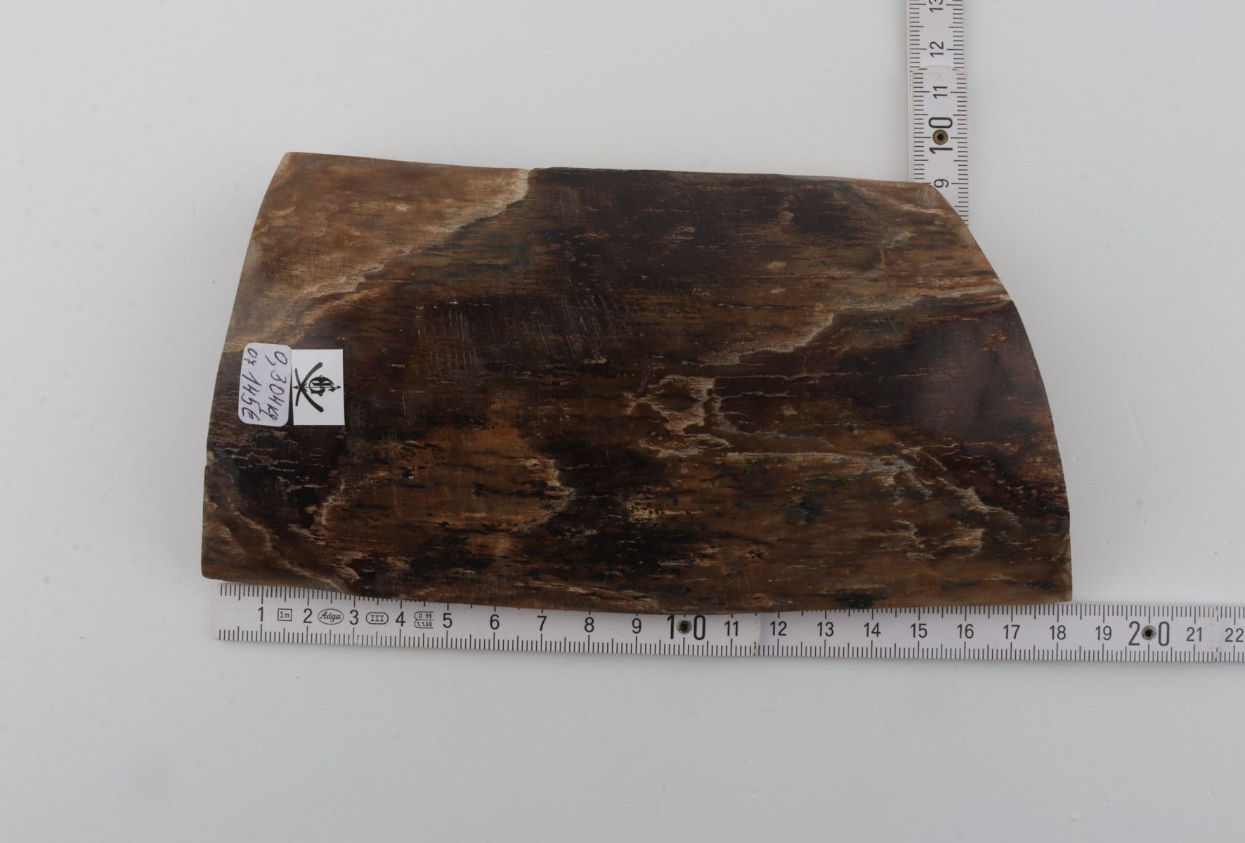 Brown mammoth bark